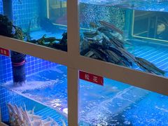 -石锅苗苗鱼(武汉首店)