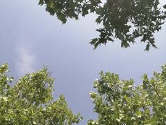 -天津自然博物馆
