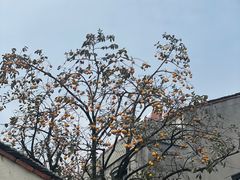 -金鱼妈妈 山野·食趣(荫山街店)