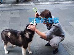 -PETKIT 小佩宠物·低压洗护·美容·寄养(安远店)