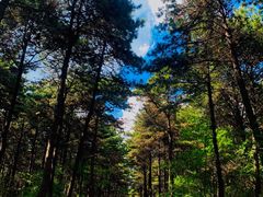 -长春净月潭风景名胜区