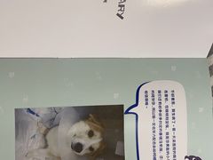 -美联众合动物医院·24h转诊中心