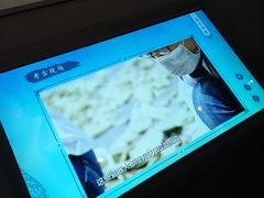-郑和公园