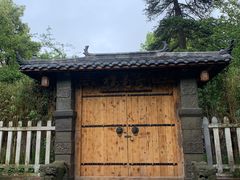 -南山植物园