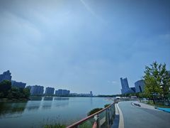 -金沙湖公园