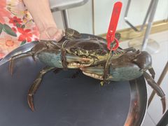 -Ministry of Crab•MOC(交子大道店)