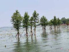 -南京城墙景区