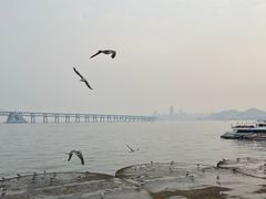 -星海广场