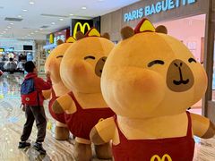 -麦当劳(新世纪环球中心店)