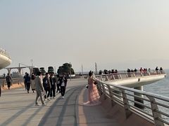 -演武大桥观景平台