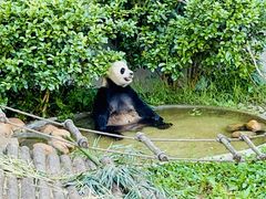 -黔灵山公园