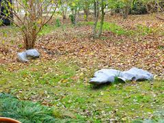 -东园小馆·早茶·淮扬小炒(宋夹城店)