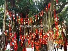 -白帝城·瞿塘峡景区