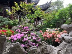 -豫园