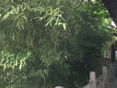 -大唐博相府酒店·陕西官府菜