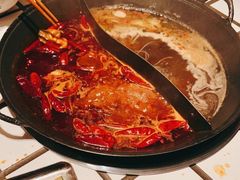 -朱光玉火锅馆(正弘城店)