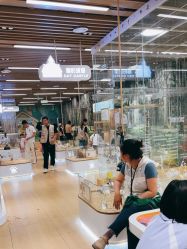 -小象动悟公园(龙湖亦庄天街店)