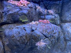 -成都浩海立方海洋公园