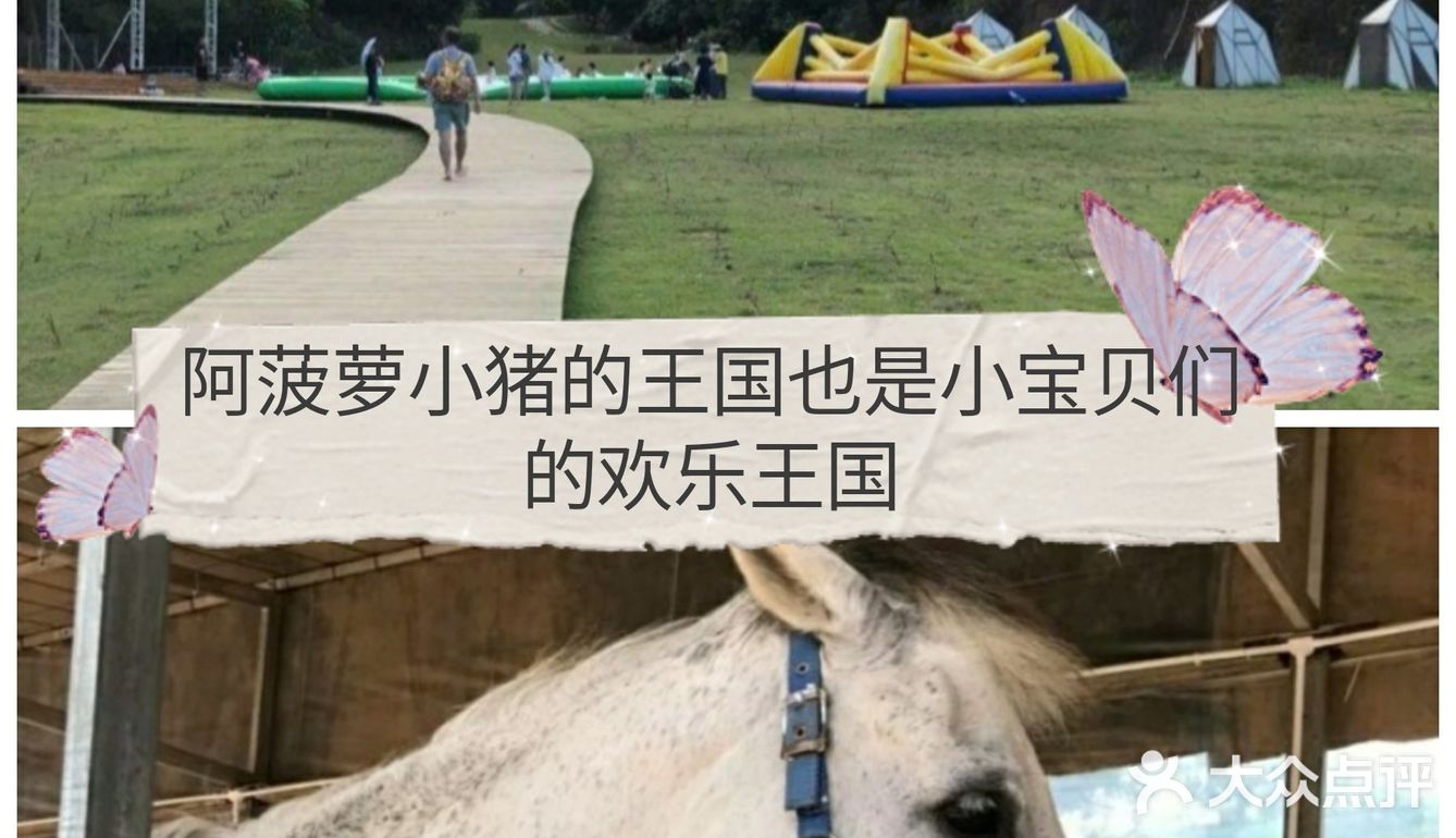 [亲亲]阿菠萝小猪的王国也是小宝贝们的欢乐王国