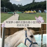 [亲亲]阿菠萝小猪的王国也是小宝贝们的欢乐王国