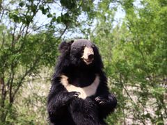 -济南野生动物世界