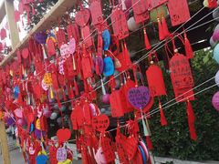 -祥源·阜阳生态乐园