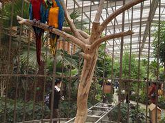 -南宫五洲植物乐园