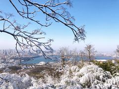 -紫金山山顶公园