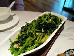 黑松露菠菜-五号茶居·新派粤菜·岭南五号酒店(沿江中路店)