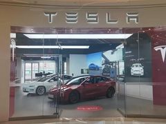 -TESLA 特斯拉(郑州正弘城体验店)