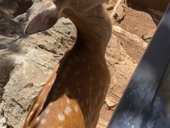 -昆明动物园