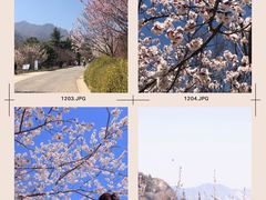 -北京鹫峰国家森林公园