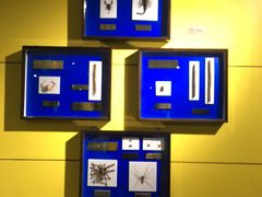 -上海昆虫博物馆