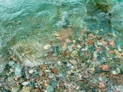 -西岭雪山大飞水景区