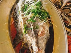 -大湾区中央湿地公园-十九涌