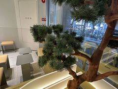 -喜茶(广州保利中环店)