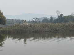 -枫香湖儿童公园