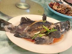 -四姑娘川味海鲜(八爪鱼店)