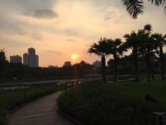 -映月湖公园
