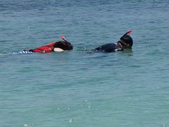 -东姑阿都拉曼海洋公园