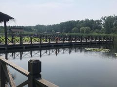 -溱湖国家湿地公园