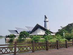 -盐城丹顶鹤湿地生态旅游区