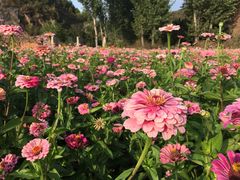 -蟠龙山长城景区