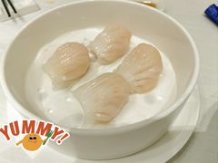 -富淳饭店(世纪公园店)