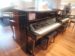 -知音艺术教育培训·钢琴培训·音乐培训(河西金鹰世界校区)