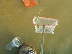 android_upload_pic-前关湿地公园