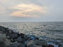 -东堤公园