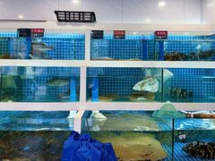 -渔家乐小海鲜(皇姑店)