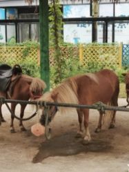 -萌宠亲子动物乐园(槐房万达店)