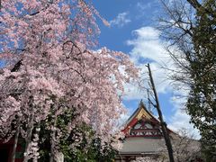 -浅草寺
